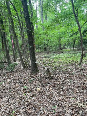 00 Pleasant Hill Church Road, Siler City, NC 27344