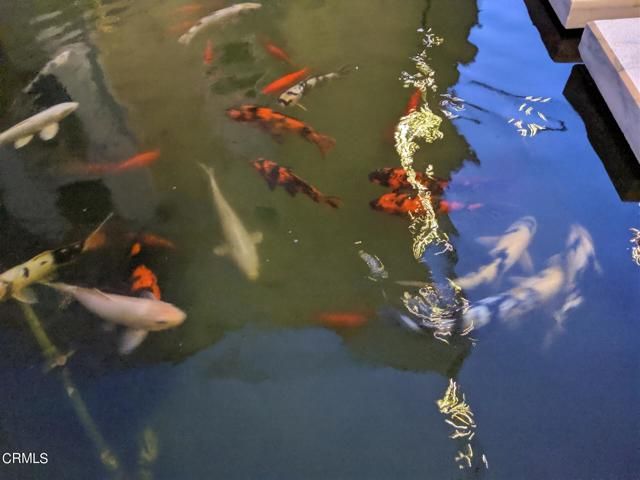 28 N 3rd Street B214, Alhambra, CA 91801