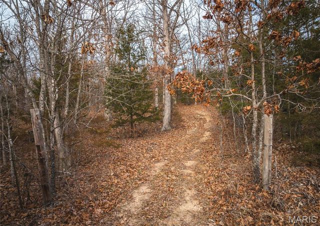 31 Sunset Lane, Steelville, MO 65565