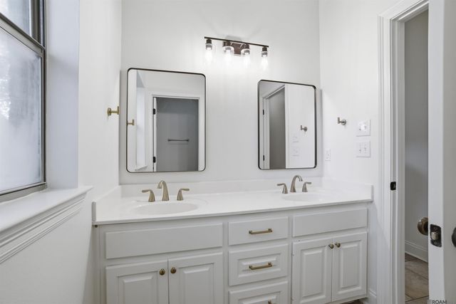 13088 Dutchtown Lakes Dr, Geismar, LA 70734