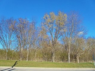 311 MCMURRAY RD, Upper St. Clair, PA 15241