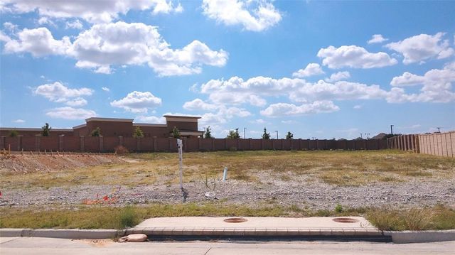 1421 Copper Point Drive, Prosper, TX 75078