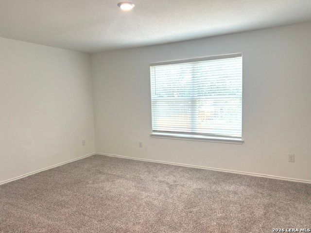 166 CANOPY OAK RD, New Braunfels, TX 78130