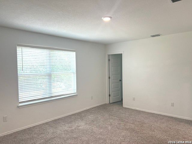 166 CANOPY OAK RD, New Braunfels, TX 78130