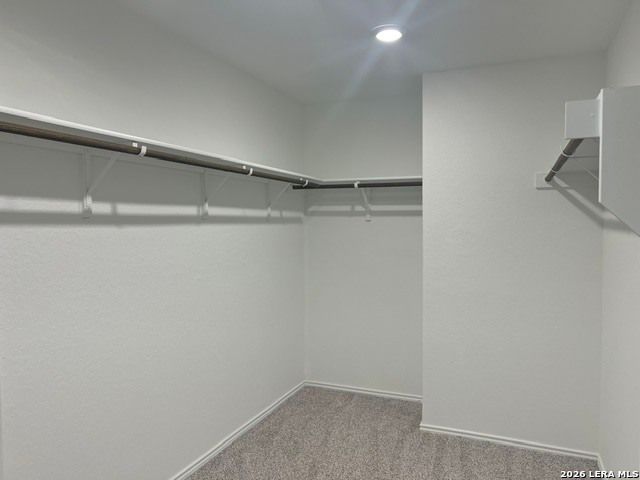 166 CANOPY OAK RD, New Braunfels, TX 78130