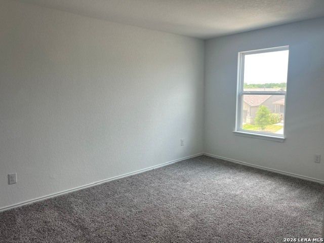 166 CANOPY OAK RD, New Braunfels, TX 78130