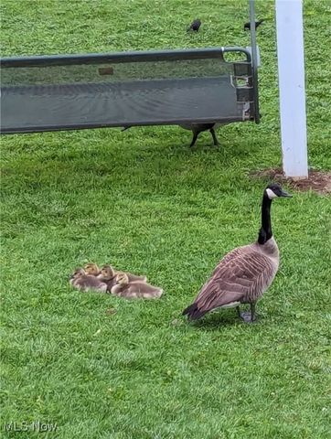 3924 Webb Lane, Stockport, OH 43787