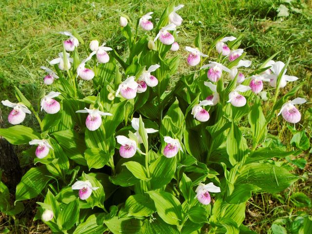 21280 State 92, Bagley, MN 56621