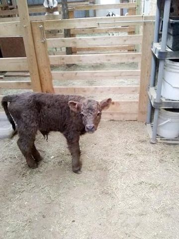 21280 State 92, Bagley, MN 56621