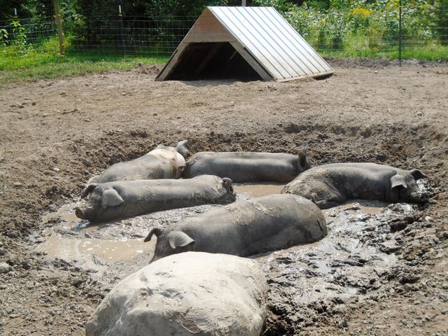 21280 State 92, Bagley, MN 56621