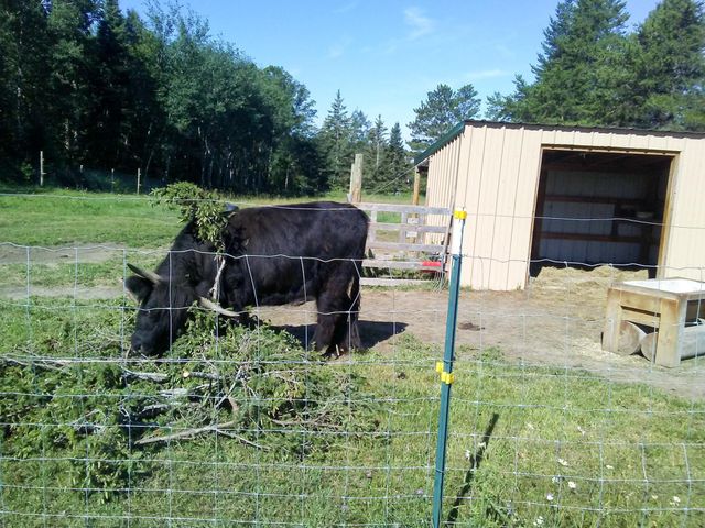 21280 State 92, Bagley, MN 56621