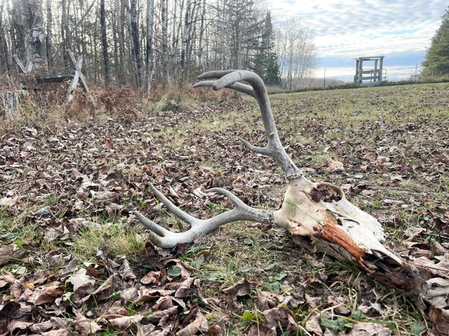 21280 State 92, Bagley, MN 56621