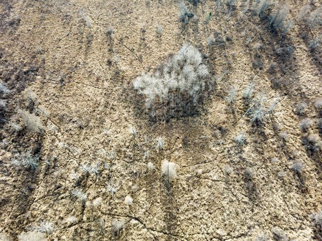 21280 State 92, Bagley, MN 56621