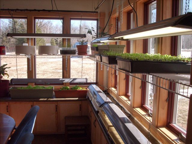 21280 State 92, Bagley, MN 56621