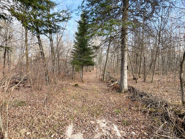 21280 State 92, Bagley, MN 56621