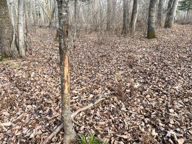 21280 State 92, Bagley, MN 56621