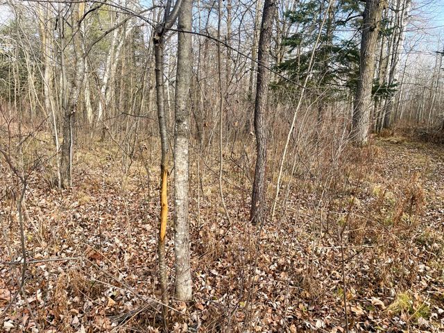 21280 State 92, Bagley, MN 56621