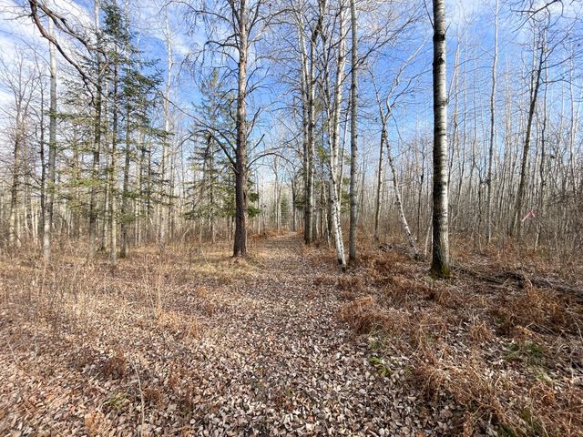 21280 State 92, Bagley, MN 56621