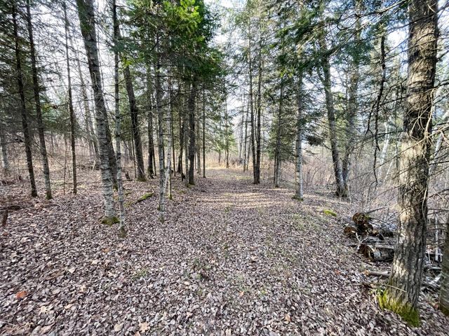 21280 State 92, Bagley, MN 56621