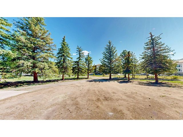 1013 Lexington Ln, Estes Park, CO 80517