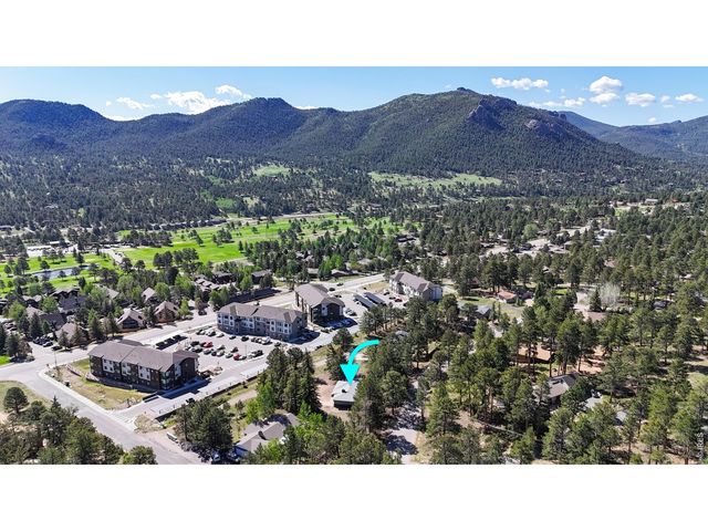 1013 Lexington Ln, Estes Park, CO 80517