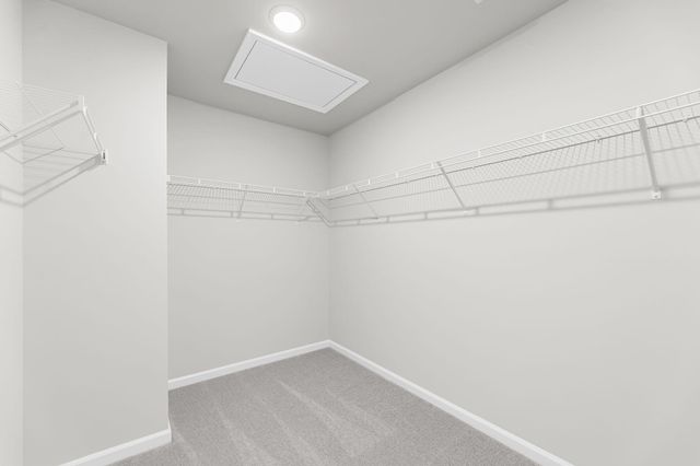 4022 Lemon Grass Lane, Ravenel, SC 29470