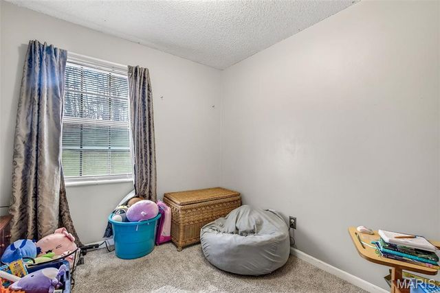 466 RUE MARTEL, Bonne Terre, MO 63628