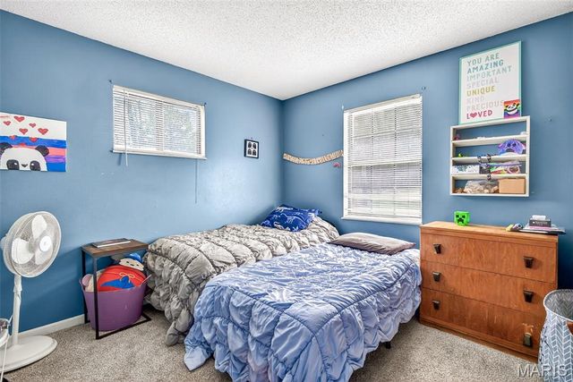 466 RUE MARTEL, Bonne Terre, MO 63628