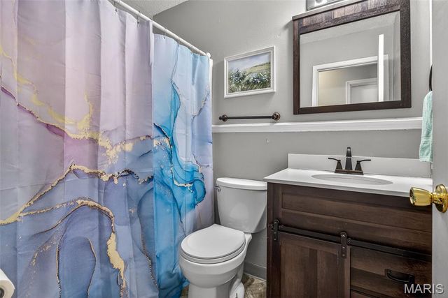 466 RUE MARTEL, Bonne Terre, MO 63628