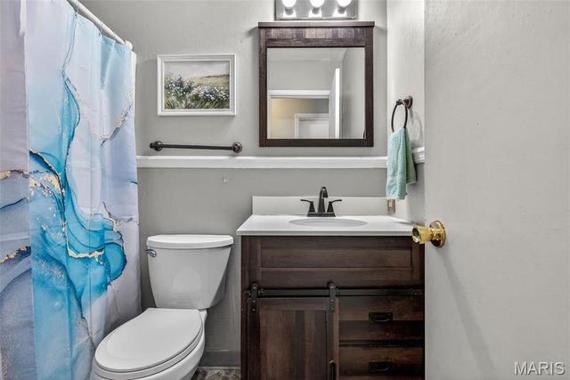 466 RUE MARTEL, Bonne Terre, MO 63628