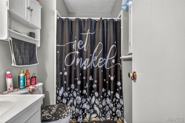 466 RUE MARTEL, Bonne Terre, MO 63628