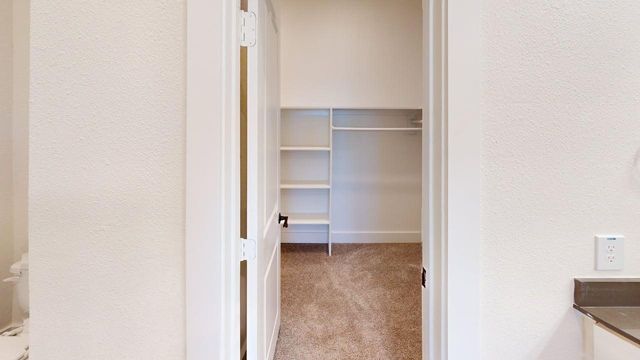 257 Mule Deer Drive, Frisco, TX 75068