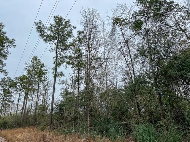 4 Fm 2626, Newton, TX 75966