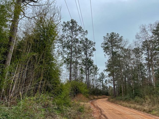 4 Fm 2626, Newton, TX 75966