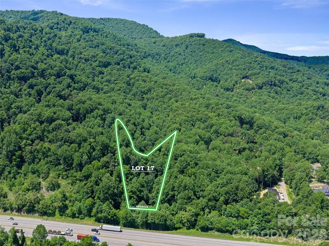 9999 Lovebird Lane 17, Candler, NC 28715