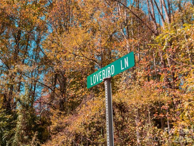 9999 Lovebird Lane 17, Candler, NC 28715