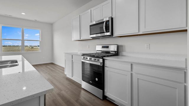 17206 Donegal Street, Tinley Park, IL 60477