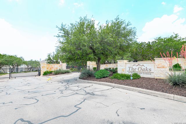 24314 BEAR MTN, San Antonio, TX 78258