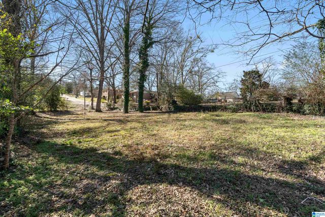 407 GREEN SPRINGS AVENUE S, Birmingham, AL 35205