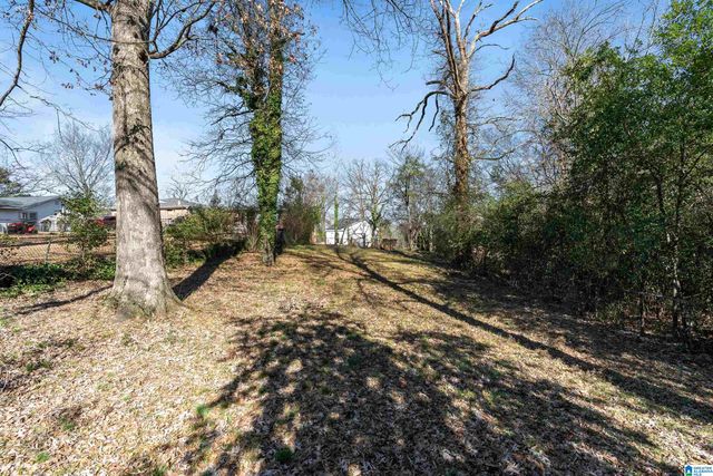 407 GREEN SPRINGS AVENUE S, Birmingham, AL 35205