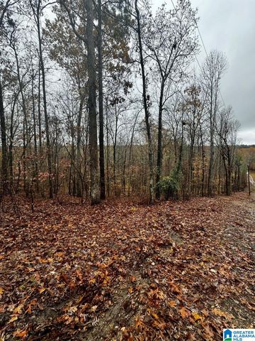 117 AMORE LANE, Chelsea, AL 35043