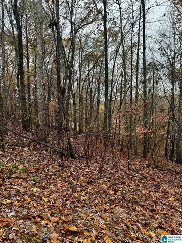 117 AMORE LANE, Chelsea, AL 35043