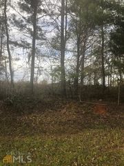 0 Crabapple Drive, Hawkinsville, GA 31036