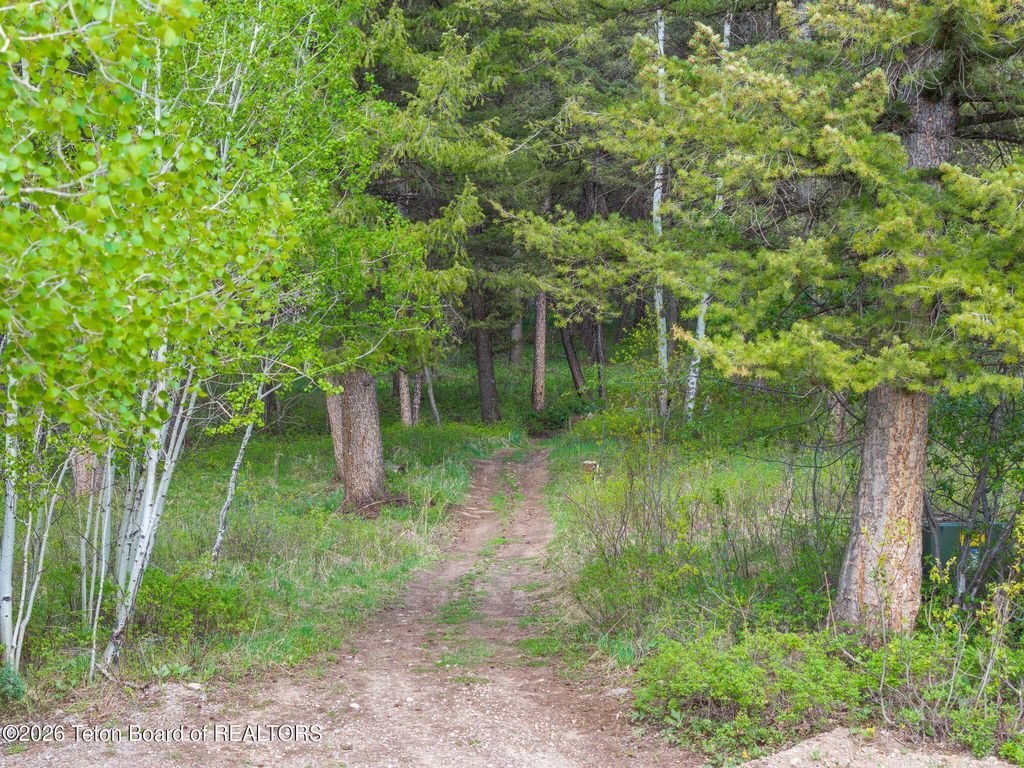 256 PIERCE Drive, Etna, WY 83118 photo 44