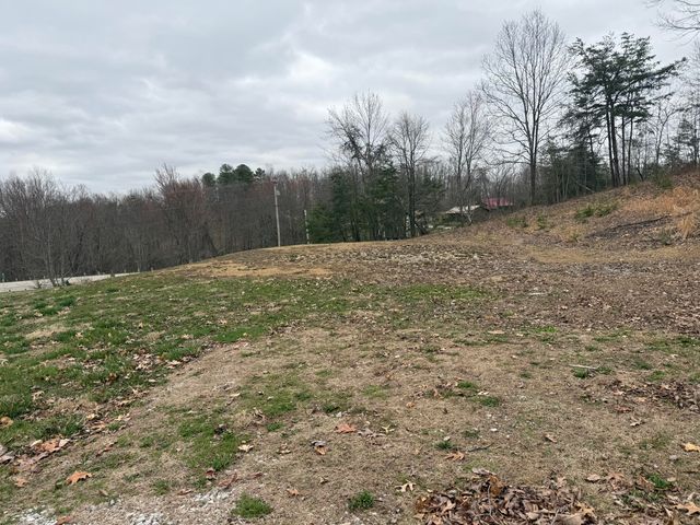 125 Mynx Lane, Wellington, KY 40387