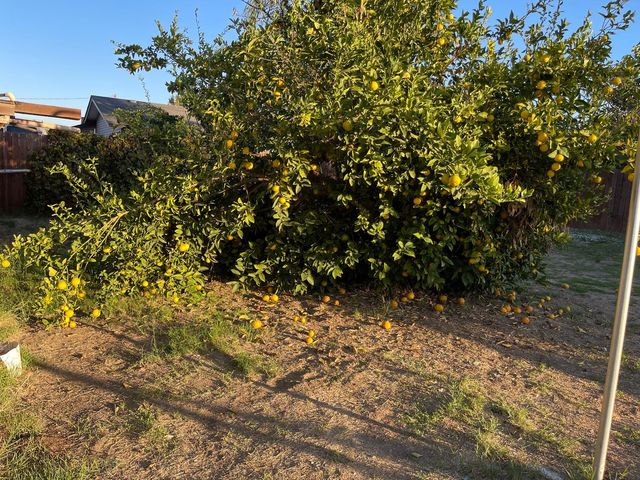 9870 Margaret Ct, Delhi, CA 95315