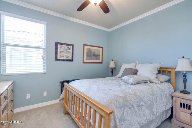 22610 W Morning Glory Street, Buckeye, AZ 85326