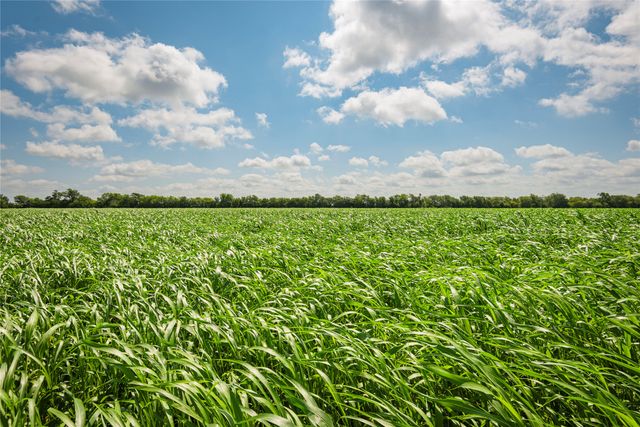 12097 Kyle Lane, Blue Ridge, TX 75424