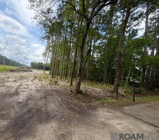 11402 Maxwell Dr, Walker, LA 70785