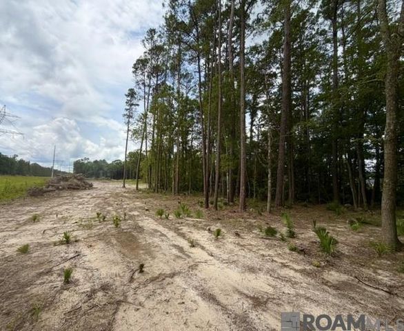 11402 Maxwell Dr, Walker, LA 70785